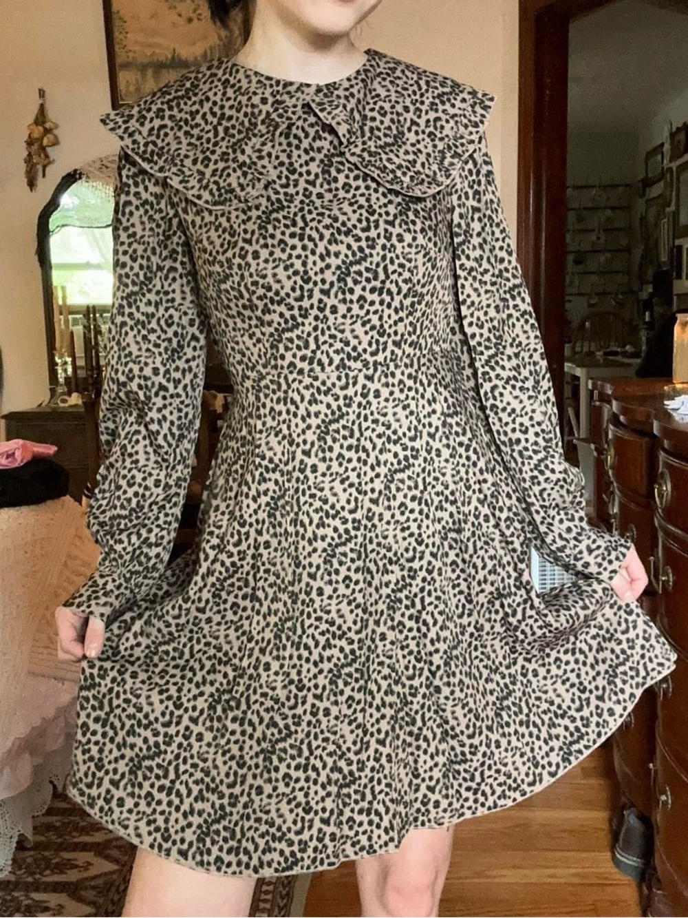 Simple Leopard-Print Long Sleeve Swing Dress in Beige and Black